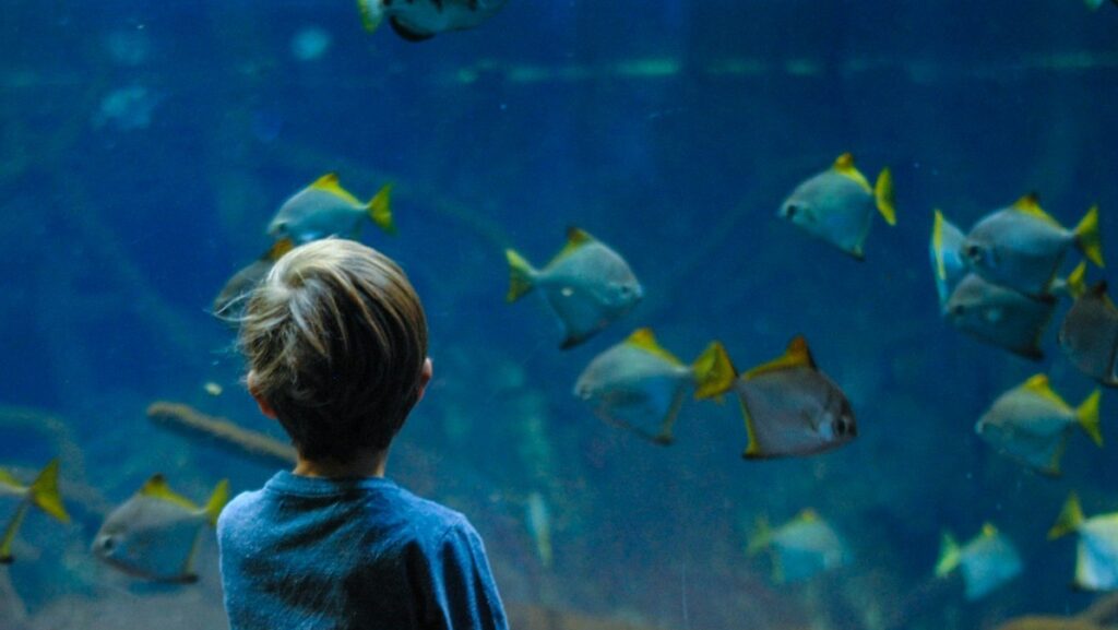 Aquarium für Kinder