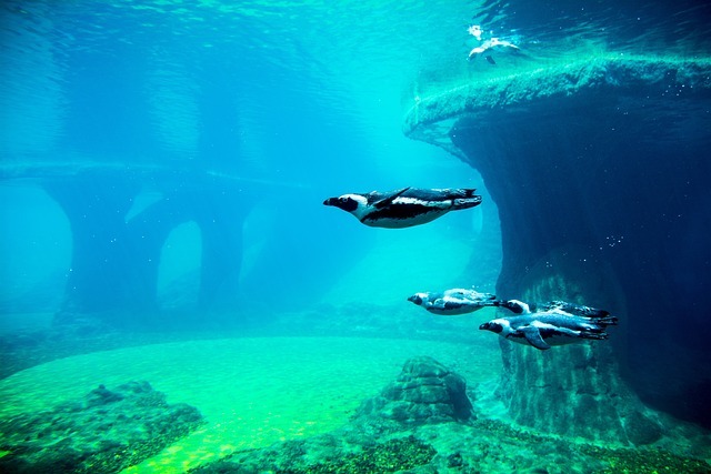 größtes Aquarium Europa